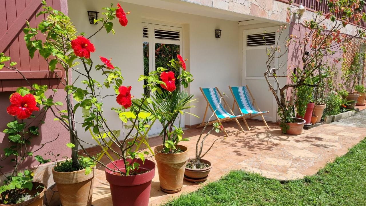 La Visite Tropicale Apartment Riviere-Pilote Bagian luar foto